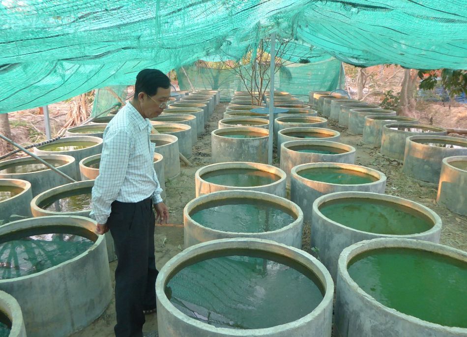 pFor large water storage containers the use of guppy fish Poecelia reticulata to reduce dengue vector populations has shown promise In Cambodia and Laos it has been demonstrated that the use of guppy fish is a lowcost sustainable and effective approach to reduce dengue vector populationsp
