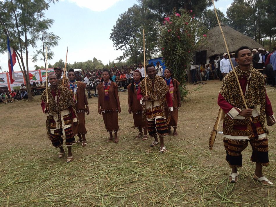 pOne of the opening ceremony activities for Wold Malaria Day 2015 in Ethiopia included traditional dancing of thenbspsouthern regionp