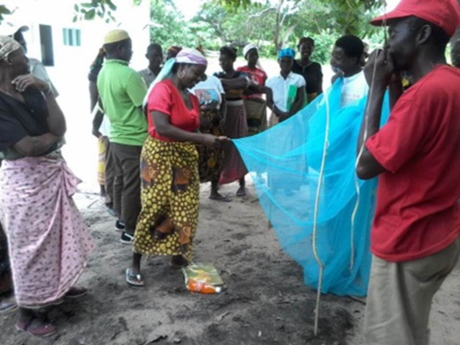 pMembers of Namitatar community structure during a malaria prevention training in the district of Mossuril Mozambiquep