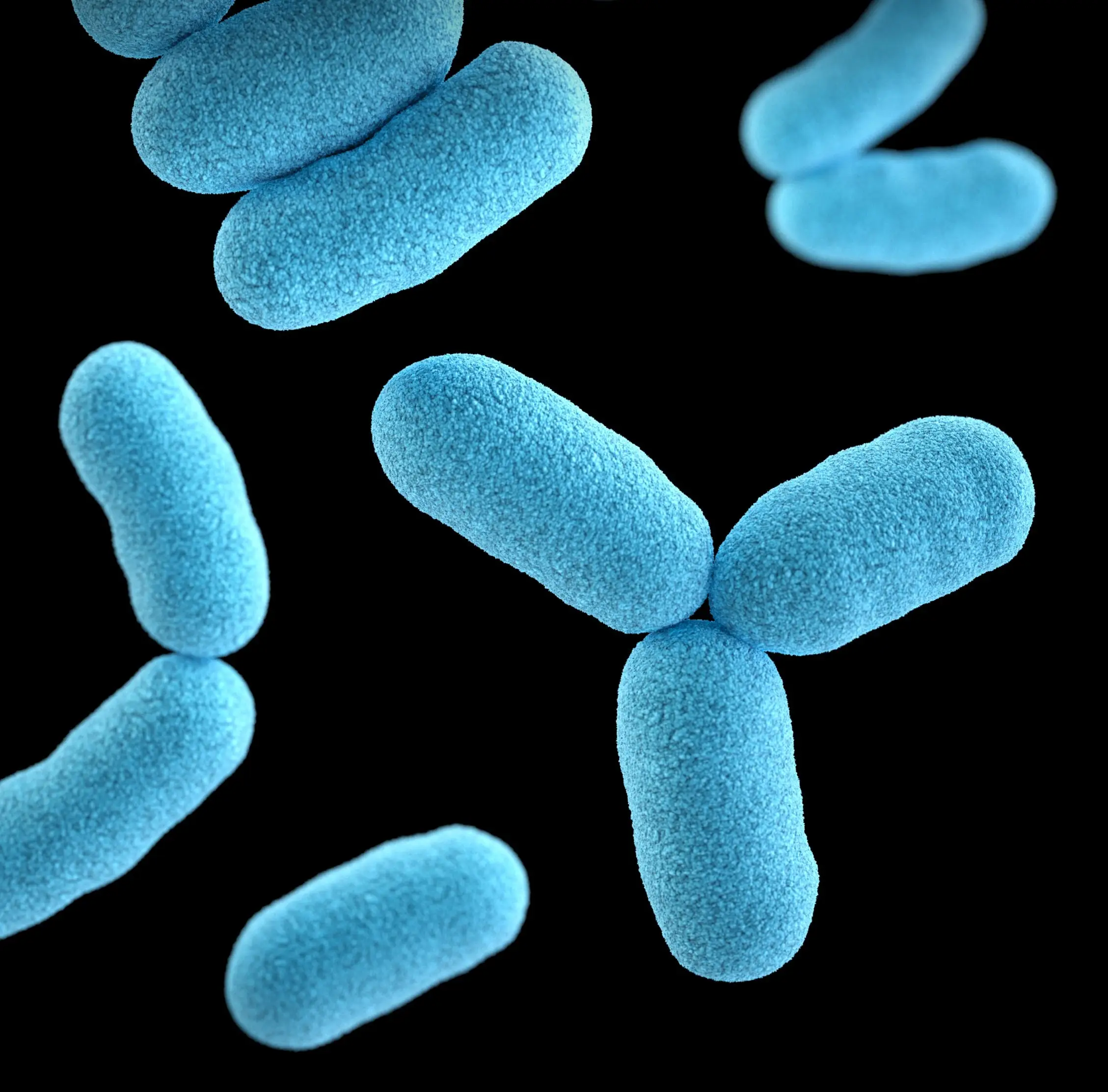 cdc-PhaTJPdtaCU-unsplash