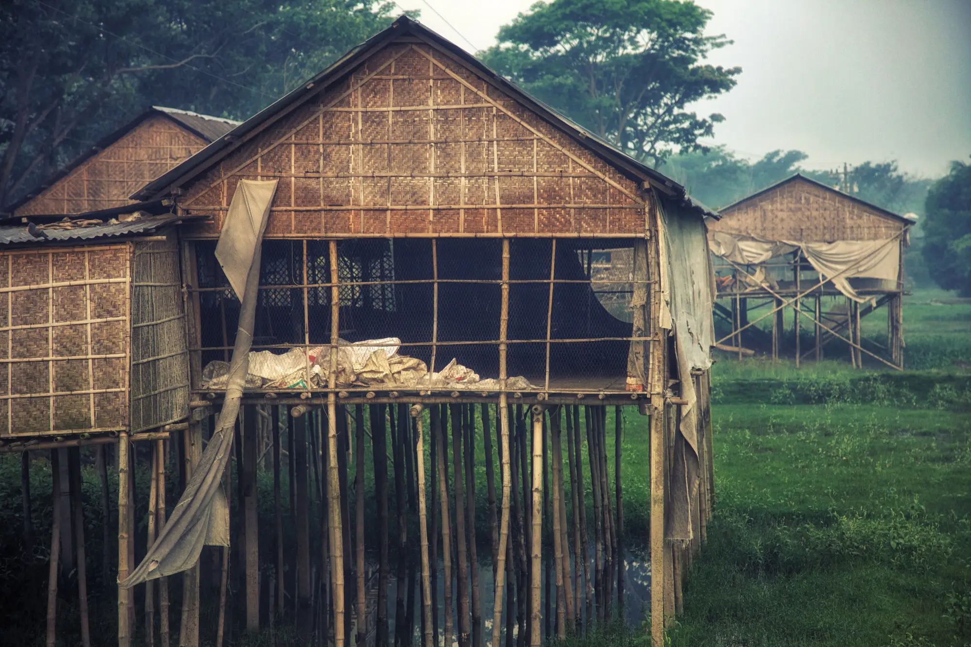 Chicken farms, Bangladesh - Hasin Hayder