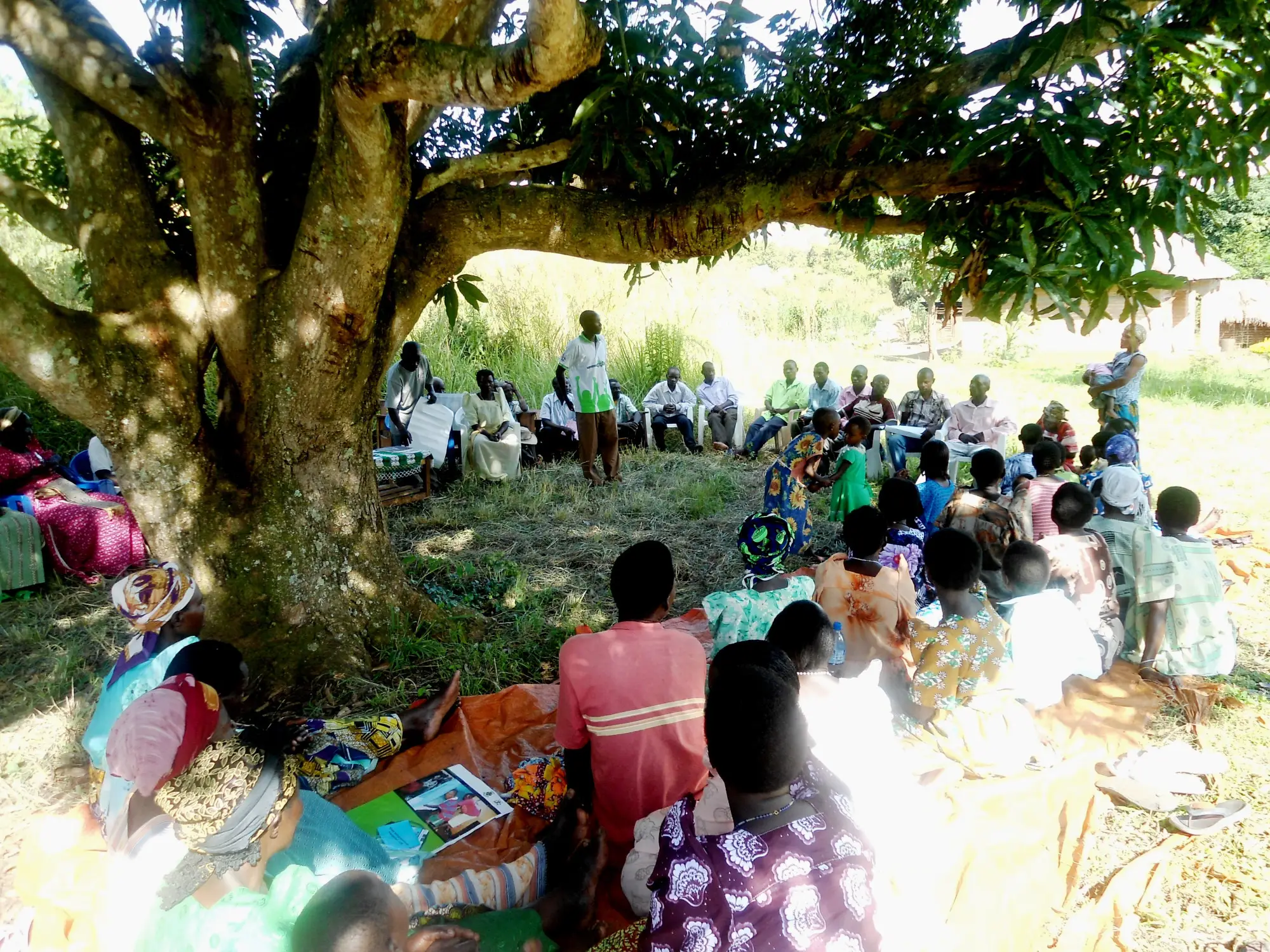 A community dialogue takes place under a tree in central Uganda