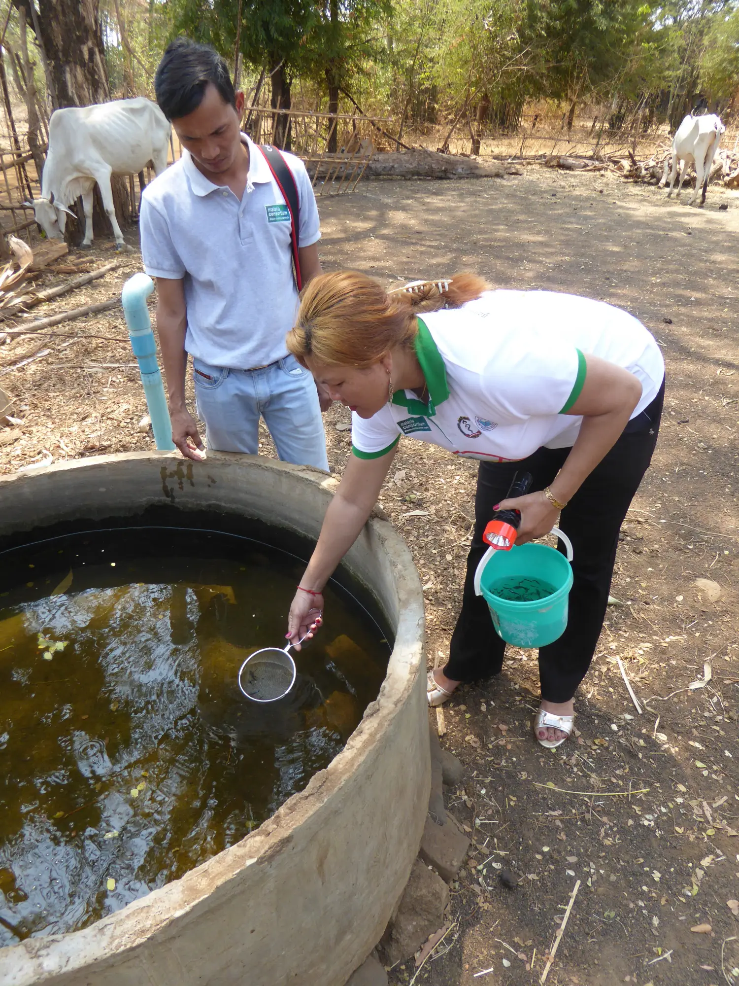 201606290315cambodia communityhealthvolunteerreleasingguppyfishinawatercontainer
