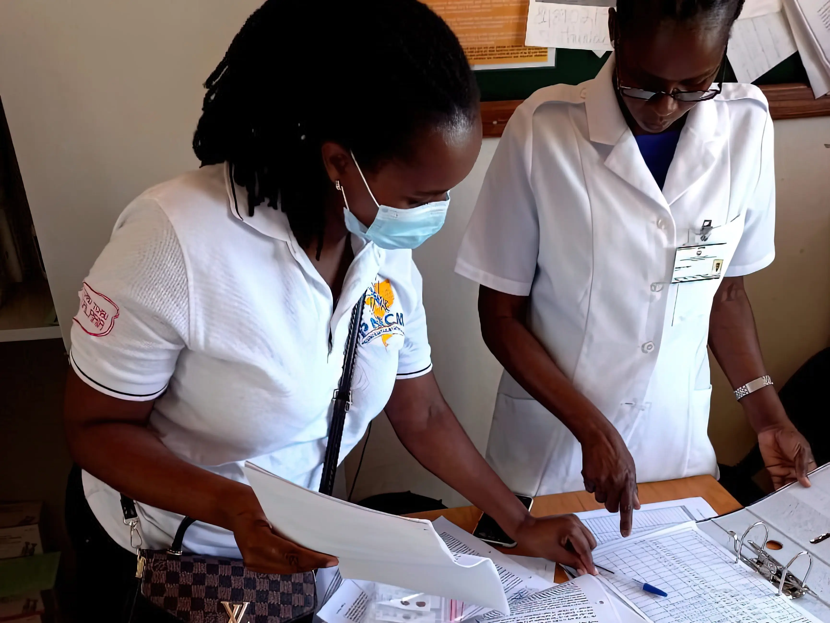 A healthcare workers logs data as part of the GenMoz project in Mozambique