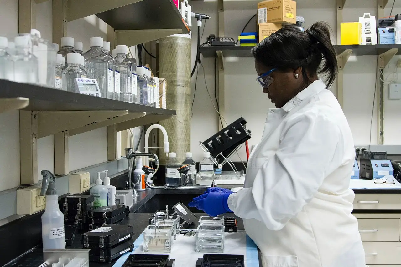 Lab technician washes arrays used in genome-wide association studies