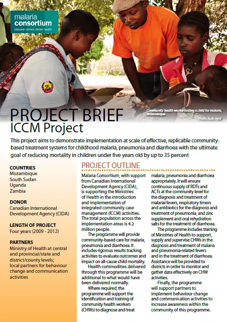 201305140329 iccm project project brief