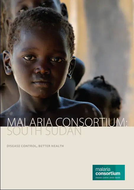 201305131223 south sudan brochure