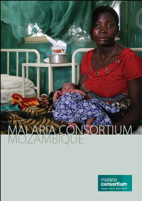 201305131221 mozambique brochure