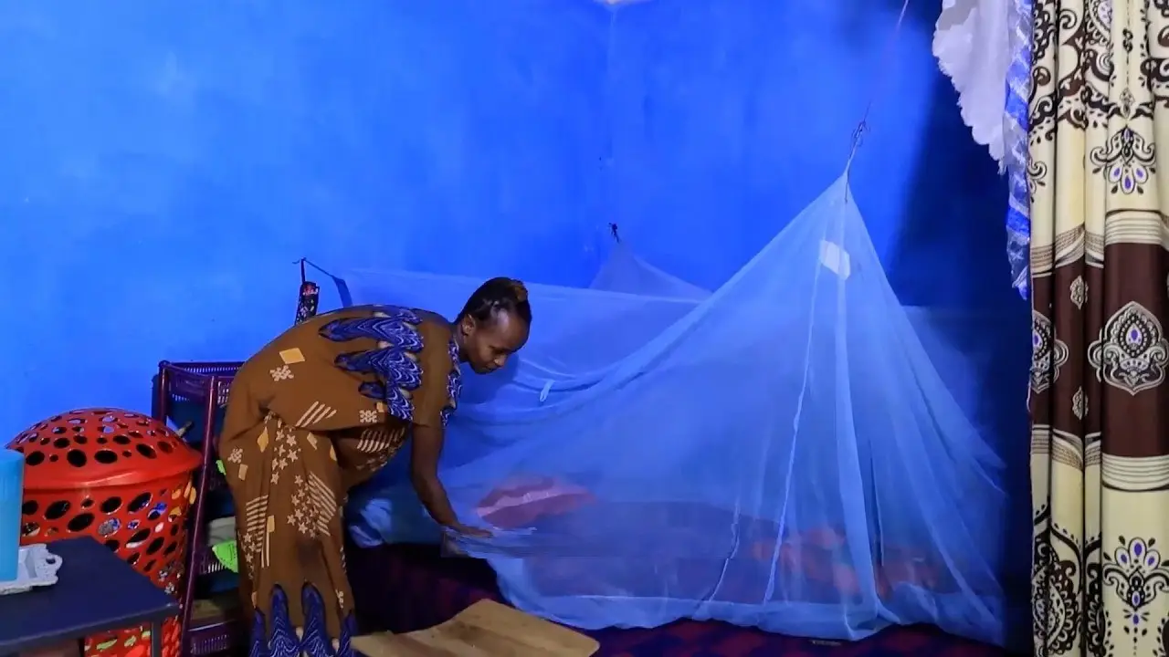 TH Malaria on the retreat video