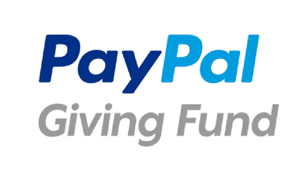 Website 2025 graphics Pay Pal 1