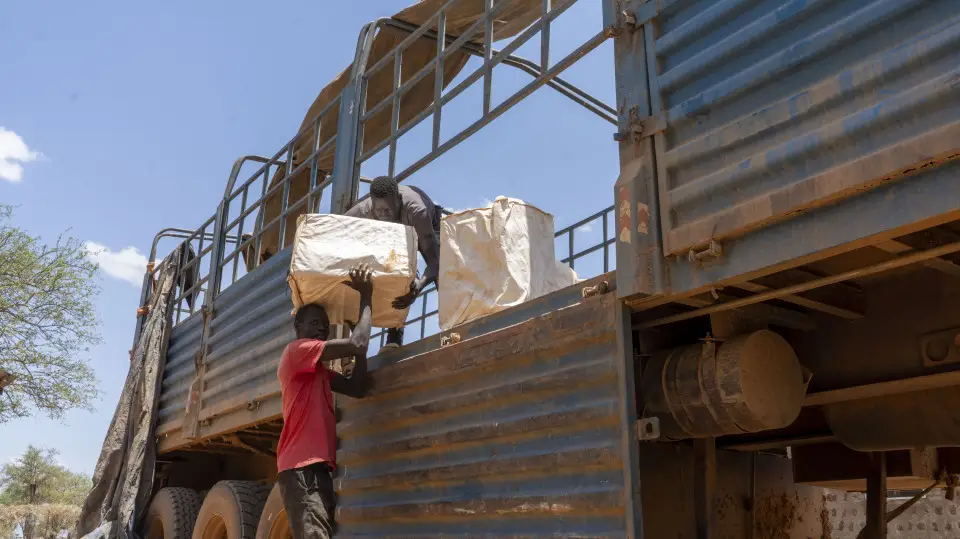 Two workers move nets