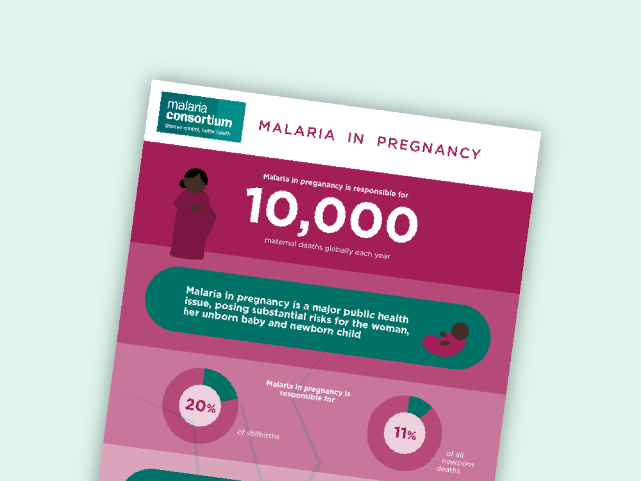 what is the literature review of malaria in pregnancy