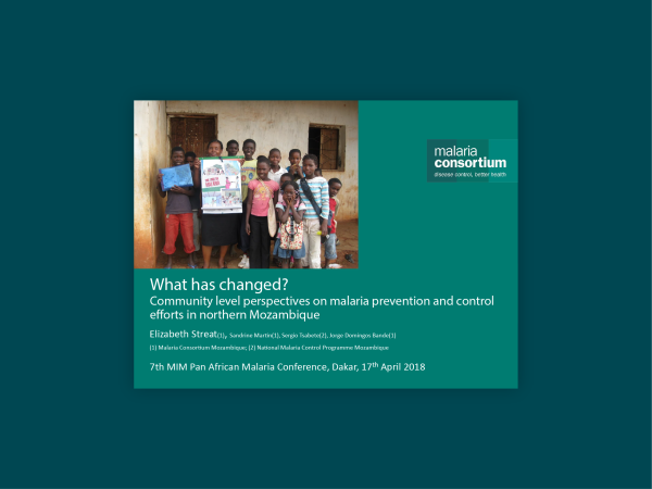 Photo for: What has changed? Community level perspectives on malaria prevention and control efforts in Mozambique