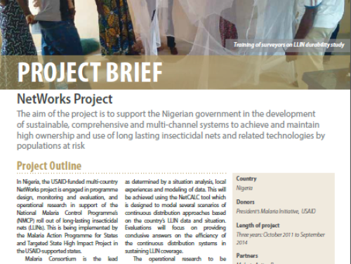 Nigeria: NetWorks Project