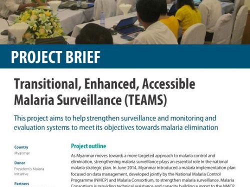 Photo for: Transitional, enhanced, accessible malaria surveillance