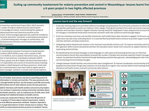 Photo for: Scaling up community involvement for malaria prevention and control in Mozambique