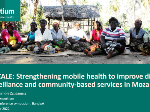 Photo for: upSCALE: Strengthening mobile health to improve disease surveillance and community-based services in Mozambique