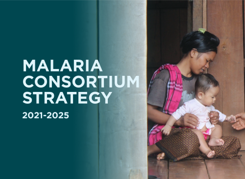 Photo for: Malaria Consortium Strategy 2021-2025