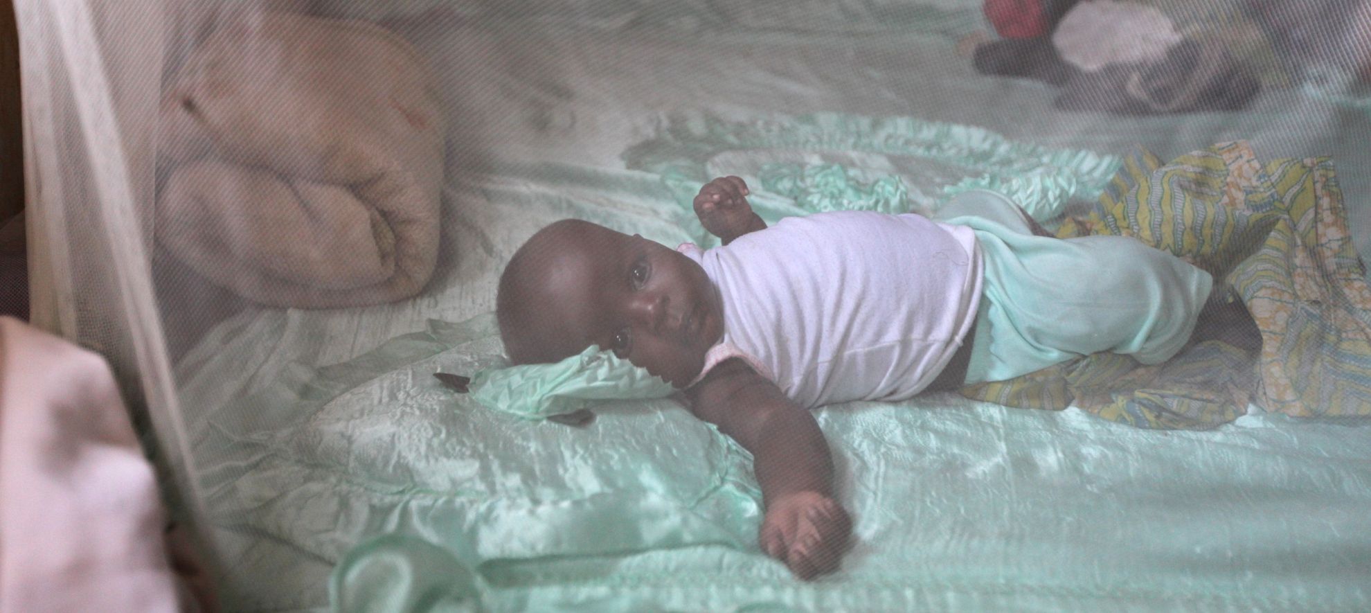 Latest News Malaria consortium responds to the national audit office report on malaria