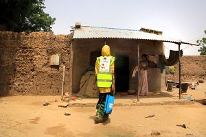 Photo for Bringing SMC to your door: Adapting mass drug distribution methods to the needs of the community in Niger