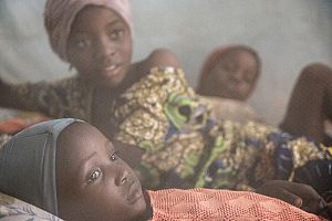 Photo for The first global malaria increase in years: a smarter, more targeted approach needed