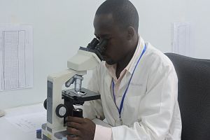 Photo for COVID-19 less severe in people with high exposure to malaria, study suggests