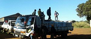 Four million nets distributed in Mozambique