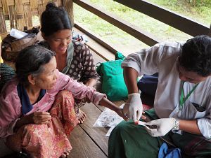 Photo for Malaria prevalence study using blood samples finds large hidden infection reservoir in Myanmar 