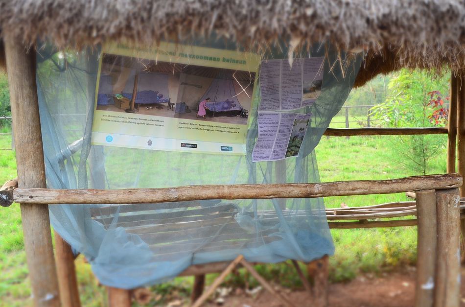 pA display of a mosquito net in the school playground reinforces not only that pupils should sleep under a net each night but also how to correctly hang the net Learning how to hang a mosquito net properly is critical for malaria control Students are encouraged to demonstrate what they learn in the clubs at home to their parents and friendsp
