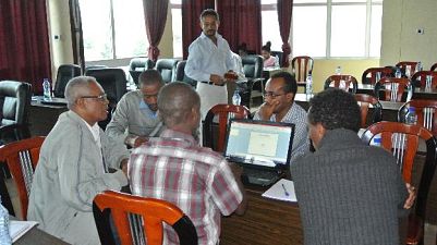Group discussion: Workshop attendees discuss how to use study findings for integrated community case management and integrated management of neonatal and childhood illnesses. These sessions were coordinated by Dr Hailu Tesfaye from Save the Children. 