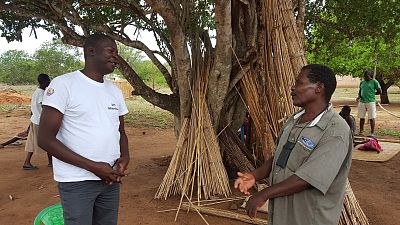 Between 1st and 15th February, a total of 145 families across 12 districts of Inhambane province were interviewed.